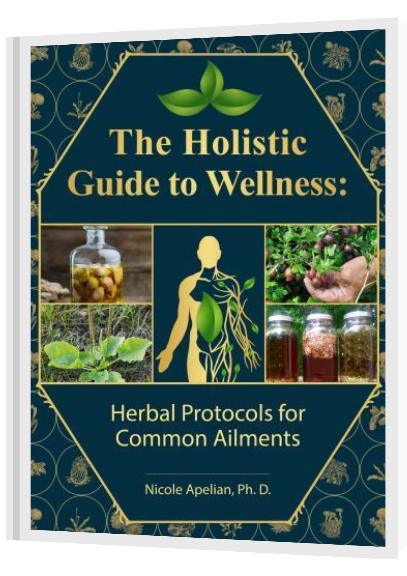 The Holistic Guide to Wellness : Herbal Protocals for Common Ailments - Apelian